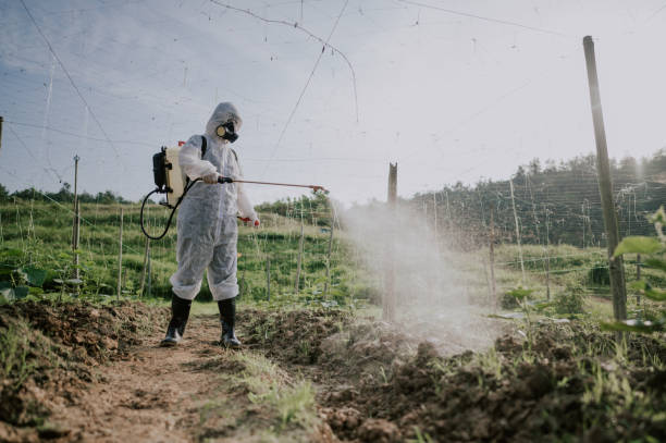 Best Best Pest Control Companies  in Liberty, UT