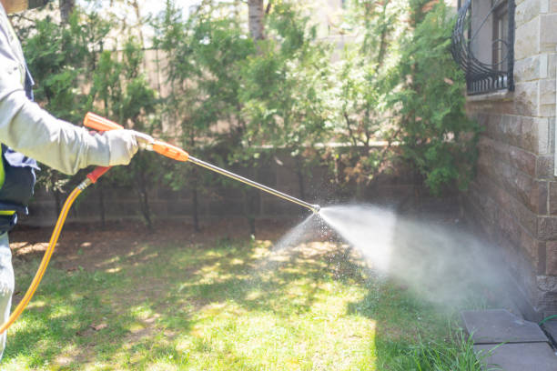 Best Flea Control Services  in Liberty, UT