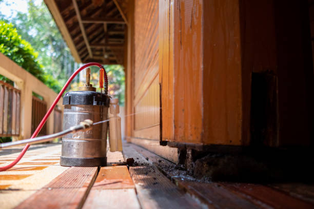 Best Termite Control Services  in Liberty, UT