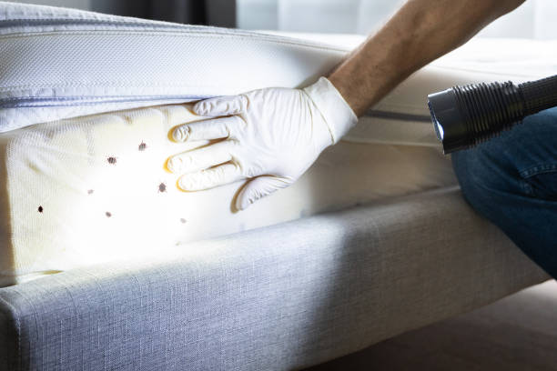 Best Pest Control Near Me  in Liberty, UT