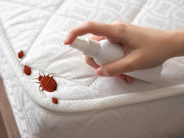 Pest Control Cost in Liberty, UT