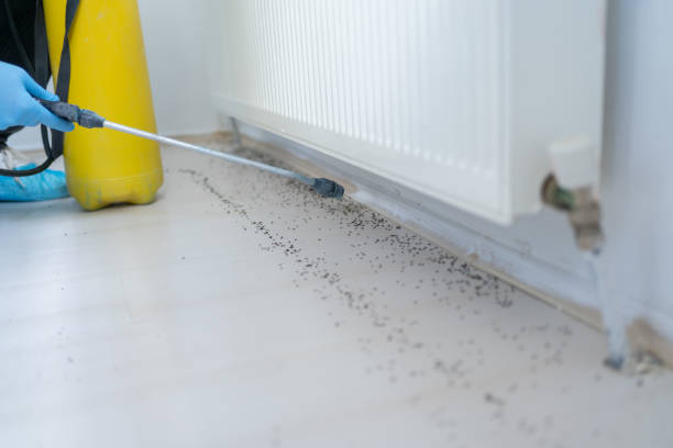 Best Pest Removal Services  in Liberty, UT