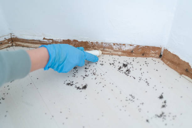 Best Wildlife Control Services  in Liberty, UT